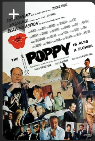 The Poppy Is Also a Flower