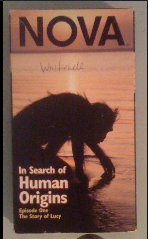 Nova: In Search of Human Origins