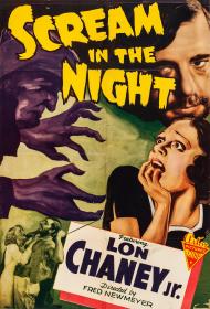 A Scream in the Night