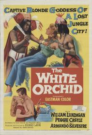 The White Orchid