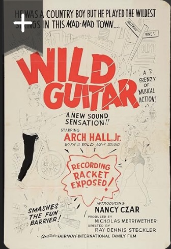 Wild Guitar