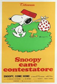 Snoopy Come Home